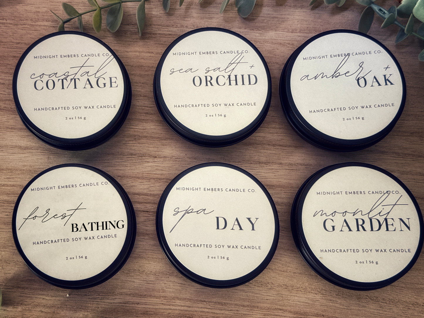 Spring Collection Discovery Set